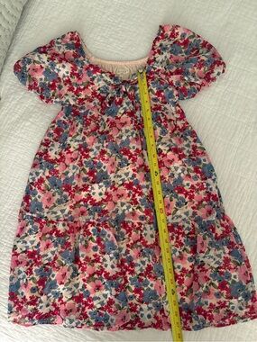 Hayden Pink, Blue and Red Floral Puff-Sleeve Dress